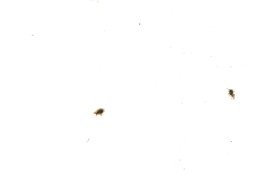 Image 116